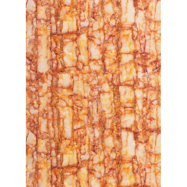 8041_445010844